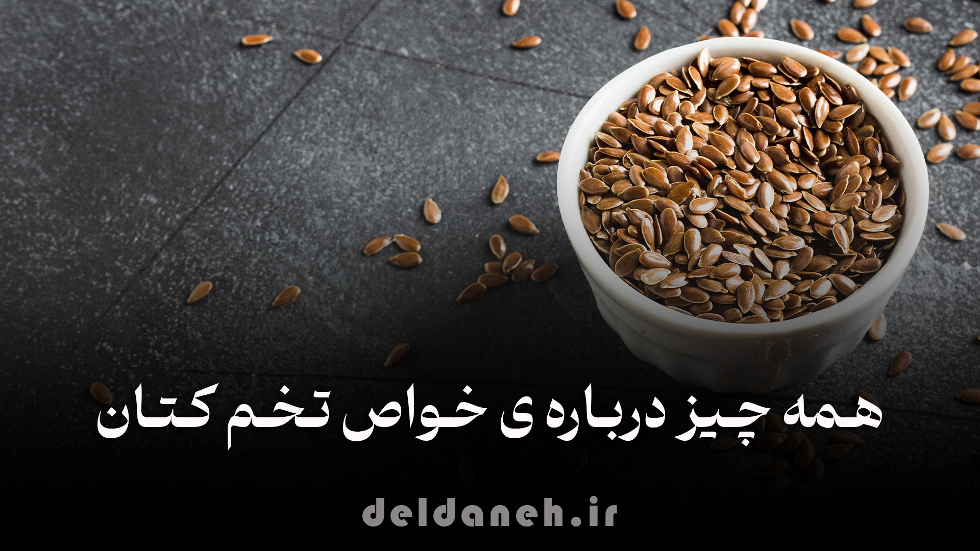 خرید تخم کتان