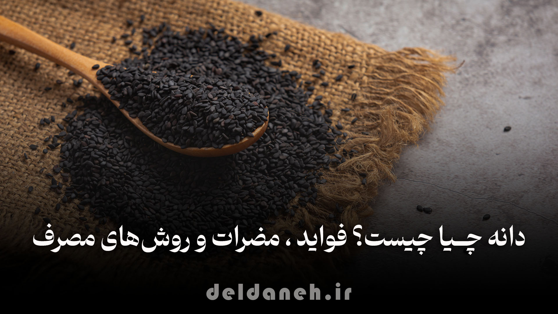 دانه چیا